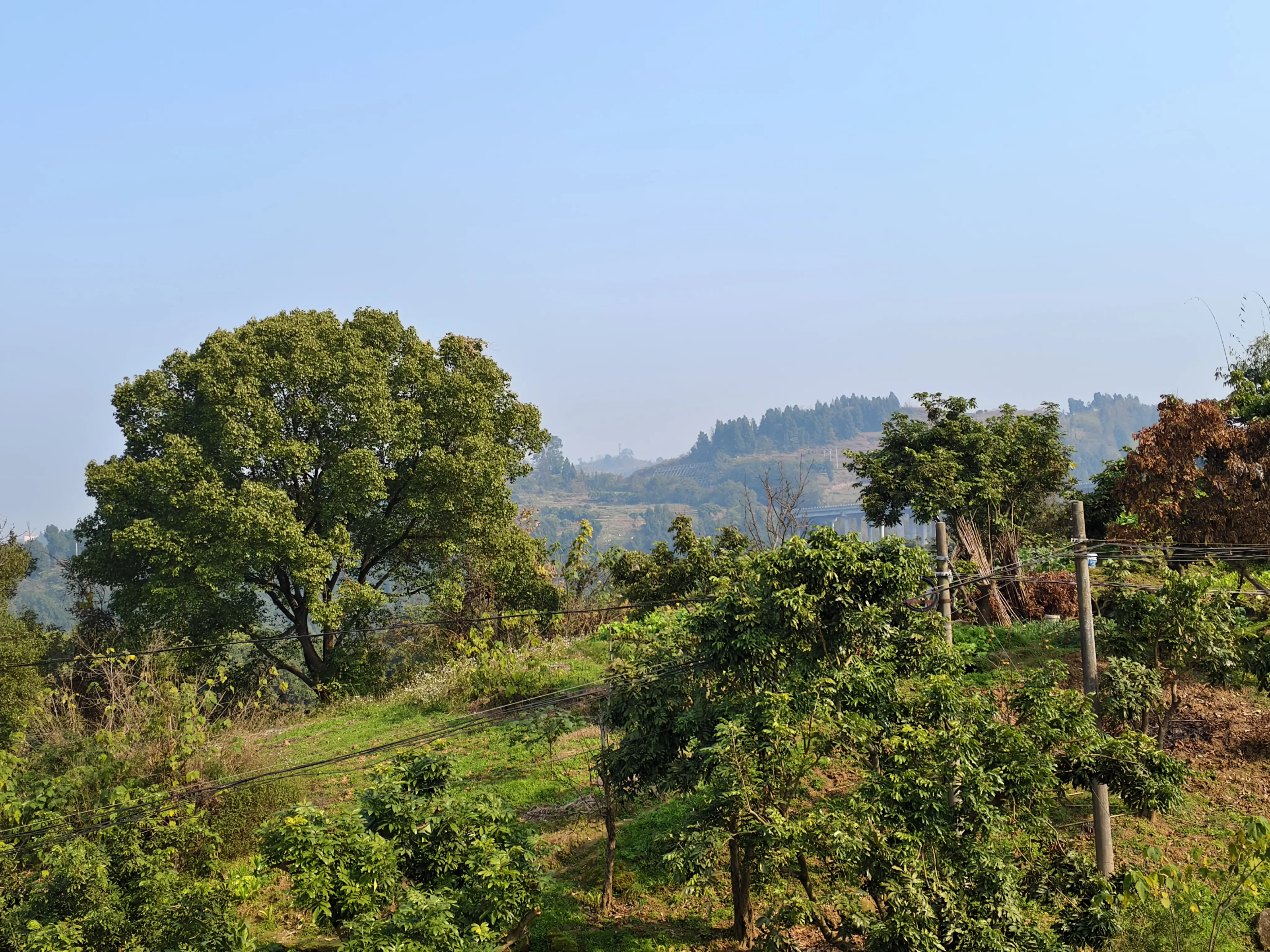 4ED66020CC69C2D2638376FFA455C7F4