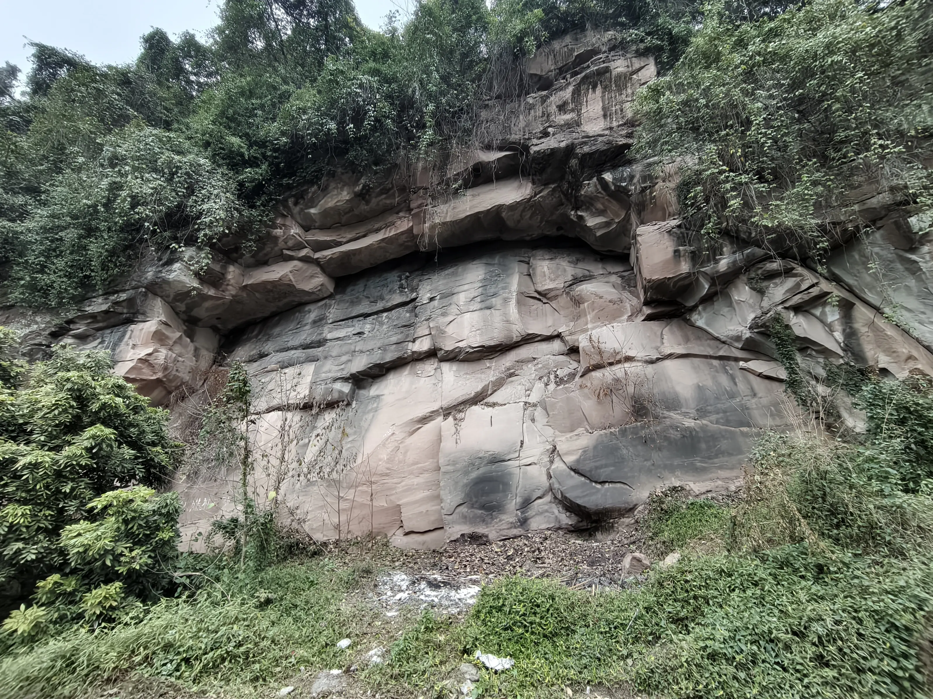 294E0F88A23699D97A8B3E647FF9784F