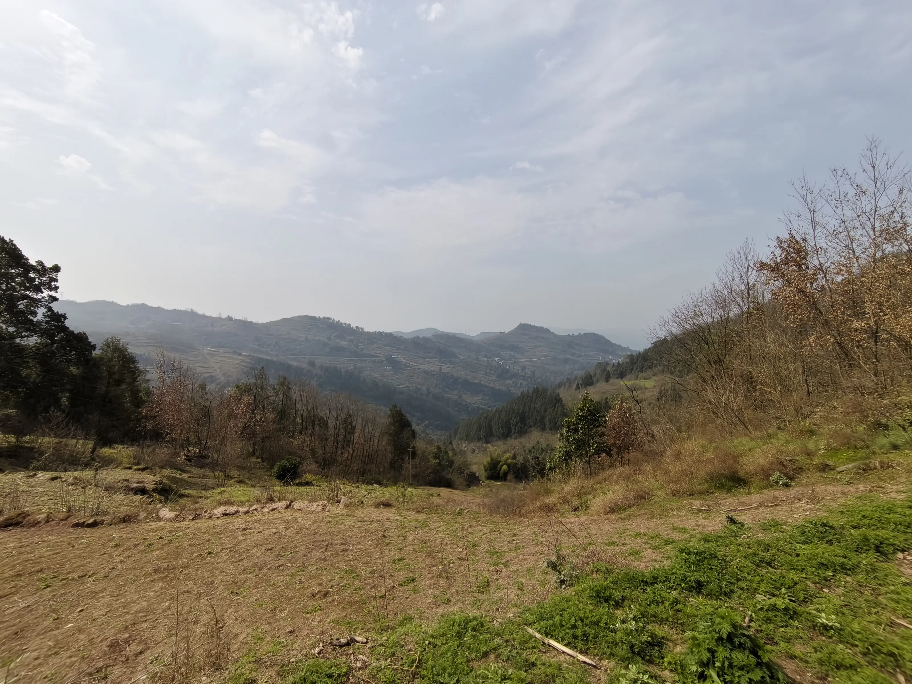 9A74DB5D174FF3E96850DBA0CDD1A692